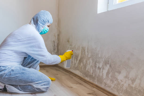 Licensed Crawl Space Mold Remediation service in Franklin Center, NJ - 24 Hour Mold Removal