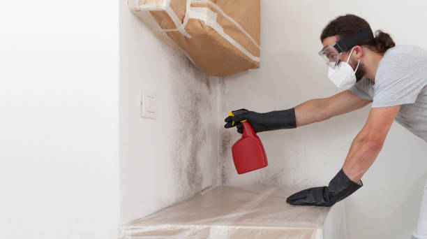 Professional Crawl Space Mold Remediation technician working in Franklin Center, NJ