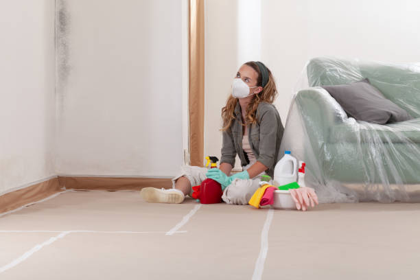Reliable Crawl Space Mold Remediation contractor in Franklin Center, NJ by 24 Hour Mold Removal